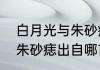 白月光与朱砂痣原唱本人　白夜光和朱砂痣出自哪首歌