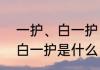 一护、白一护、斩月的关系　死神中白一护是什么，怎么出来的