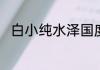 白小纯水泽国度的本命之兽是什么