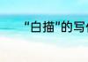 “白描”的写作手法具体指什么