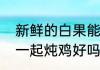 新鲜的白果能炖汤吗　羊肚菌和白果一起炖鸡好吗