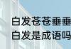 白发苍苍垂垂老矣是什么意思　苍头白发是成语吗