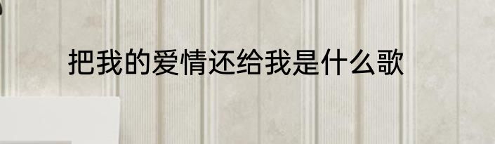 把我的爱情还给我是什么歌