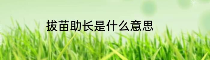 拔苗助长是什么意思