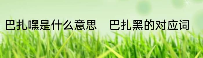 巴扎嘿是什么意思　巴扎黑的对应词