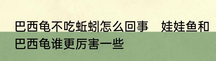 巴西龟不吃蚯蚓怎么回事　娃娃鱼和巴西龟谁更厉害一些