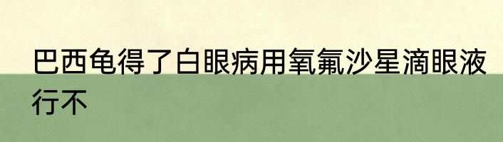 巴西龟得了白眼病用氧氟沙星滴眼液行不