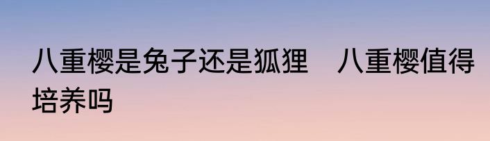 八重樱是兔子还是狐狸　八重樱值得培养吗