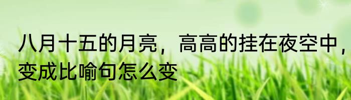 八月十五的月亮，高高的挂在夜空中，变成比喻句怎么变