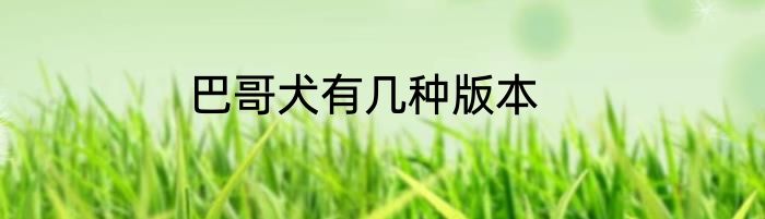 巴哥犬有几种版本