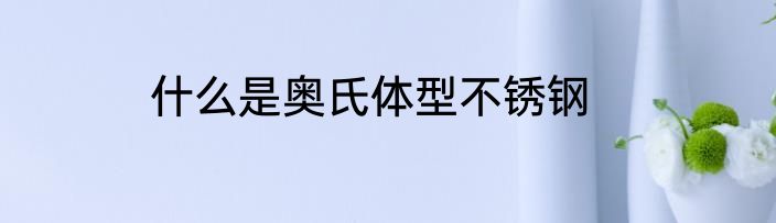 什么是奥氏体型不锈钢