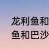 龙利鱼和巴沙鱼的区别有哪些　龙利鱼和巴沙鱼做酸菜鱼的区别