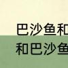 巴沙鱼和龙利鱼吃起来区别　龙利鱼和巴沙鱼做酸菜鱼的区别