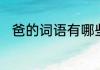 爸的词语有哪些　爸的笔顺和组词