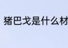 猪巴戈是什么材料　巴戈龙虾调味料