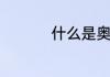什么是奥氏体型不锈钢