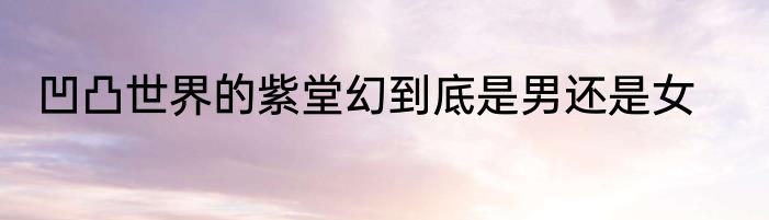 凹凸世界的紫堂幻到底是男还是女