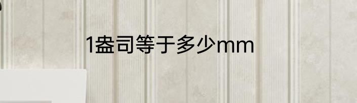 1盎司等于多少mm