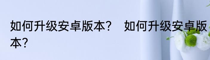 如何升级安卓版本?　如何升级安卓版本?