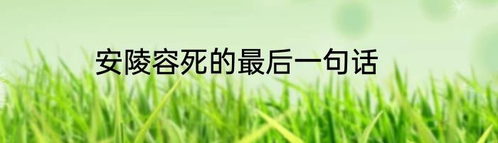 安陵容死的最后一句话