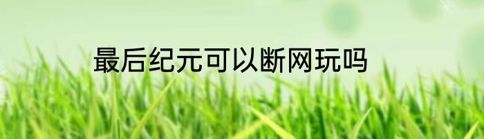 最后纪元可以断网玩吗