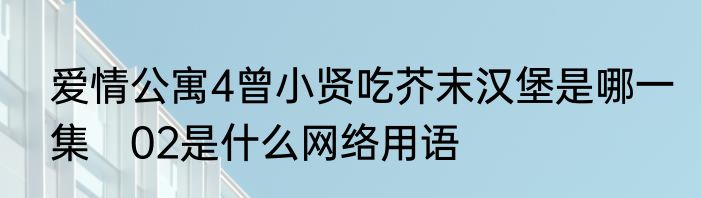 爱情公寓4曾小贤吃芥末汉堡是哪一集　02是什么网络用语