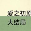 爱之初原著大结局　看电视局爱之初大结局