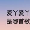 爱丫爱丫歌词有什么意思　你的回答是哪首歌的歌词