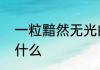 一粒黯然无光的沙子所对应的句子是什么