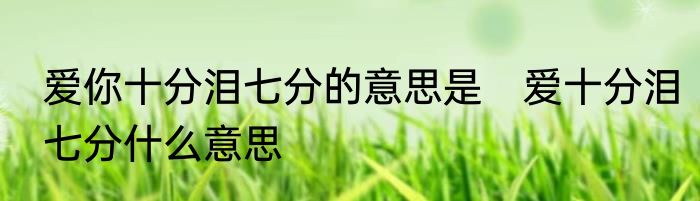爱你十分泪七分的意思是　爱十分泪七分什么意思