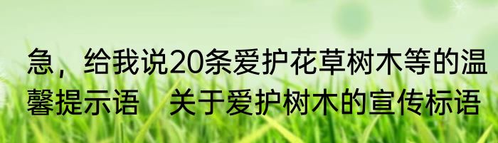 急，给我说20条爱护花草树木等的温馨提示语　关于爱护树木的宣传标语