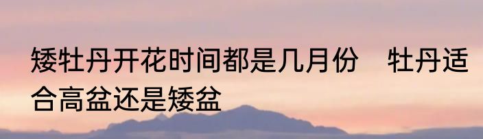 矮牡丹开花时间都是几月份　牡丹适合高盆还是矮盆