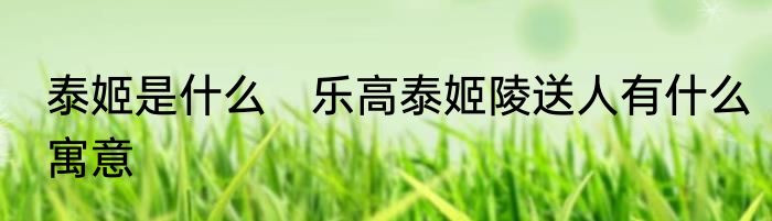 泰姬是什么　乐高泰姬陵送人有什么寓意