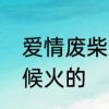 爱情废柴文案短句　爱情废柴什么时候火的