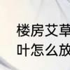 楼房艾草怎么挂在门上　端午节的艾叶怎么放置到门上