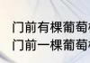 门前有棵葡萄树儿歌歌词　“阿嫩阿绿门前一棵葡萄树”这首歌叫啥子名字啊