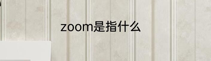 zoom是指什么