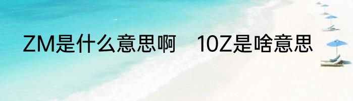 ZM是什么意思啊　10Z是啥意思