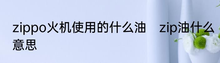 zippo火机使用的什么油　zip油什么意思