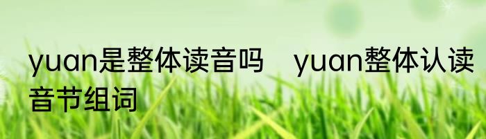 yuan是整体读音吗　yuan整体认读音节组词