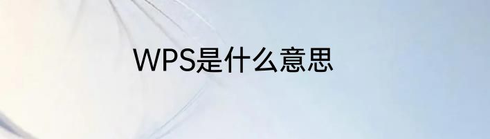 WPS是什么意思
