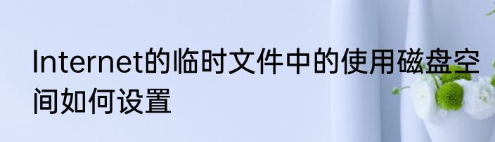 Internet的临时文件中的使用磁盘空间如何设置
