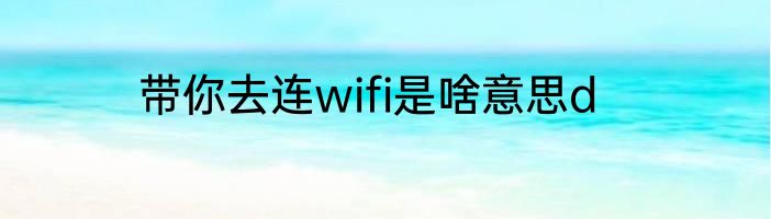 带你去连wifi是啥意思d