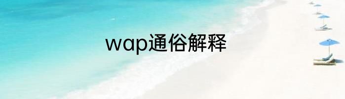 wap通俗解释