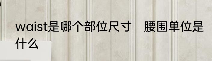 waist是哪个部位尺寸　腰围单位是什么
