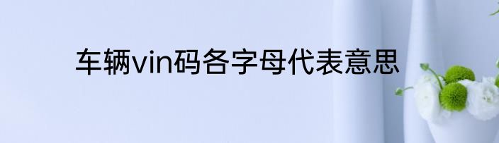 车辆vin码各字母代表意思