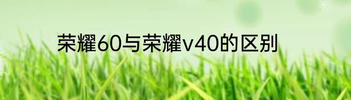 荣耀60与荣耀v40的区别