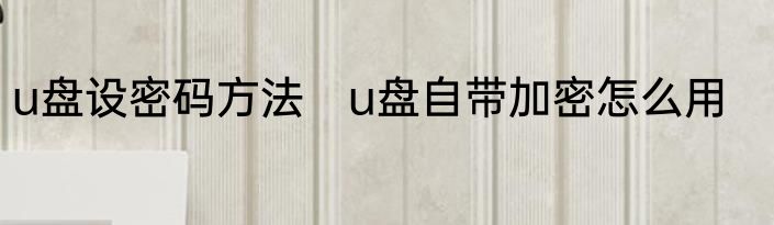 u盘设密码方法　u盘自带加密怎么用