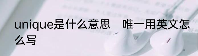 unique是什么意思　唯一用英文怎么写