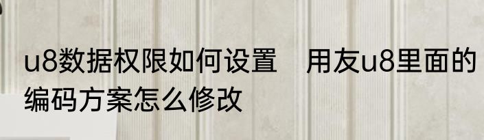 u8数据权限如何设置　用友u8里面的编码方案怎么修改